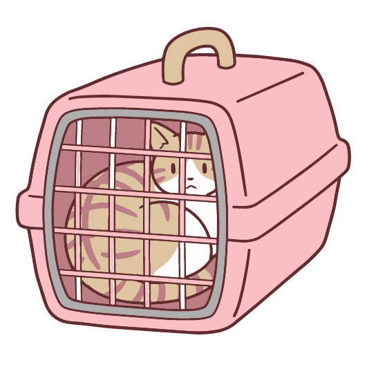 ストレスと腸活