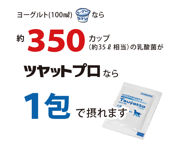ヨーグルト換算で350カップの乳酸菌