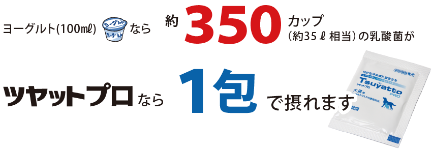 ヨーグルト換算で350カップの乳酸菌